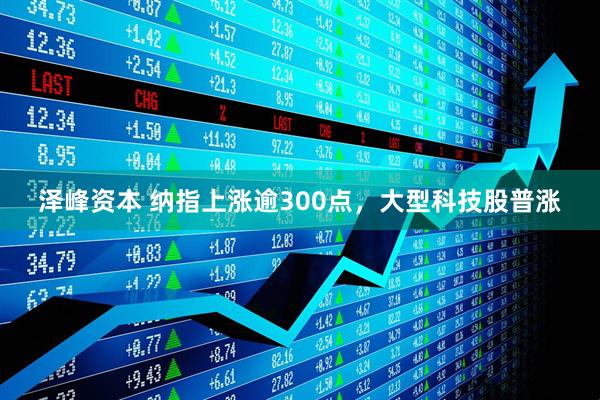 泽峰资本 纳指上涨逾300点，大型科技股普涨