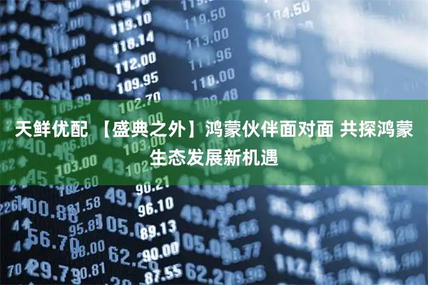 天鲜优配 【盛典之外】鸿蒙伙伴面对面 共探鸿蒙生态发展新机遇