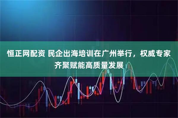 恒正网配资 民企出海培训在广州举行，权威专家齐聚赋能高质量发展